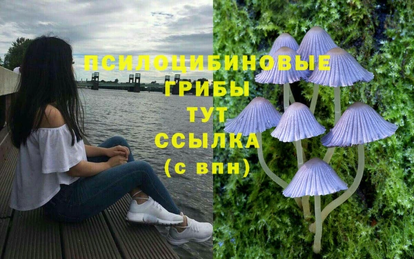 а пвп мука Алексеевка