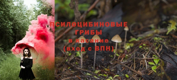 меф Алексин