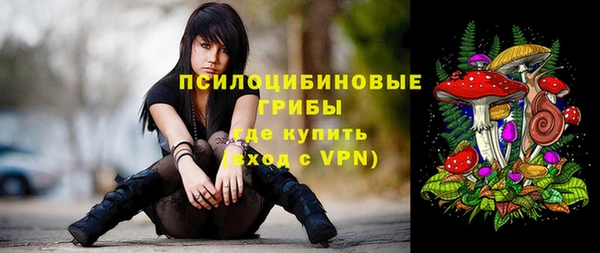 молекула духа Алзамай