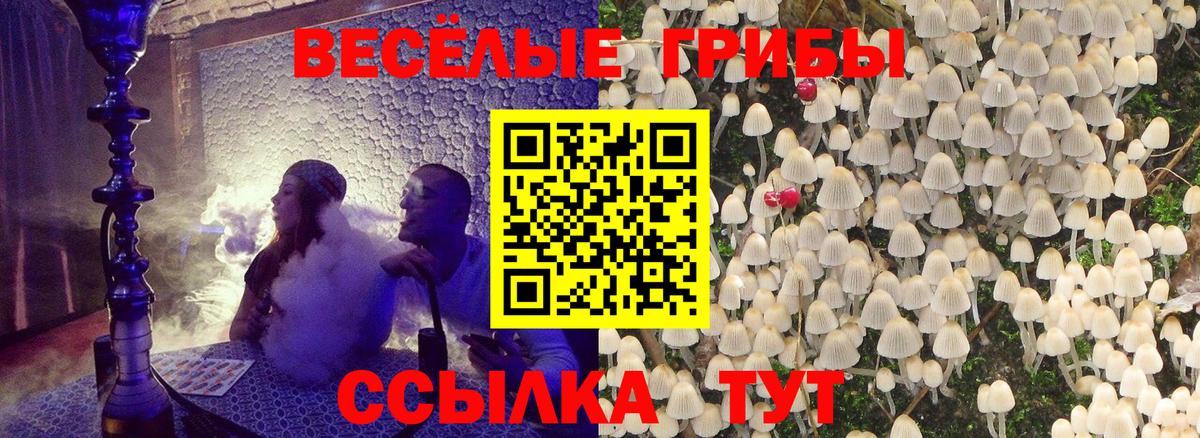 Псилоцибиновые грибы ЛСД Красногорск